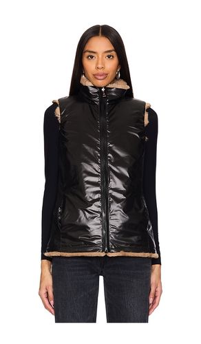 Plush Faux Fur Reversible Vest in . Size L. Also in M, S, XL - jocelyn - Modalova