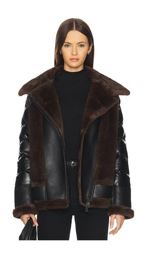 JACKE MOTO in . Größe L. Also in S, XS - jocelyn - Modalova
