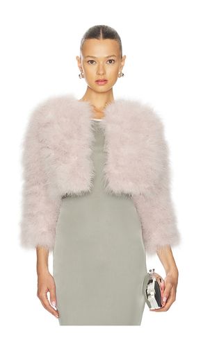 BOLERO FIFI in . Größe M. Also in L, XL - jocelyn - Modalova