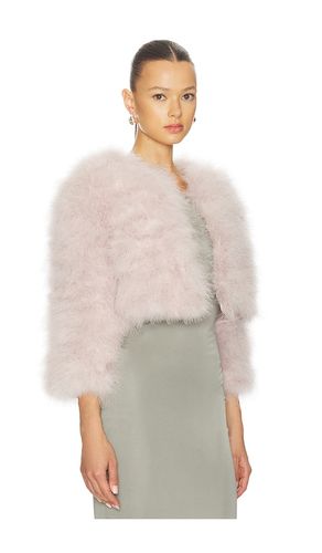 BOLERO FIFI in . Größe M. Also in L, XL - jocelyn - Modalova
