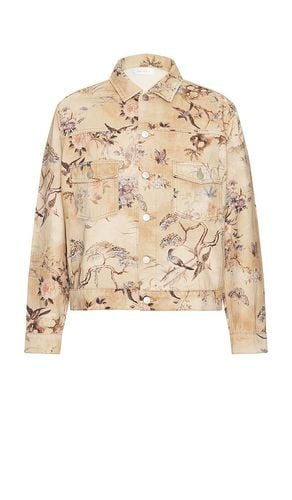 Chaqueta thumper en color beige talla M en - Beige. Talla M (también en S) - JOHN ELLIOTT - Modalova