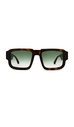 Caliber Sunglasses in Brown - James Oro - Modalova