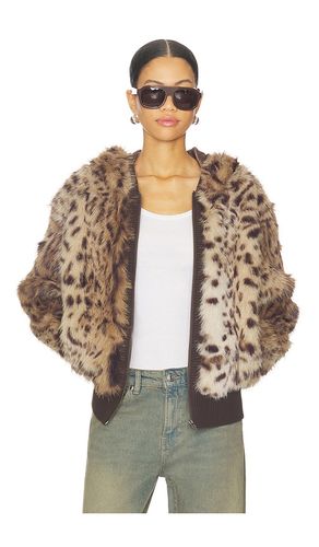 JACKE BEAR in . Größe S. Also in M - Jaded London - Modalova