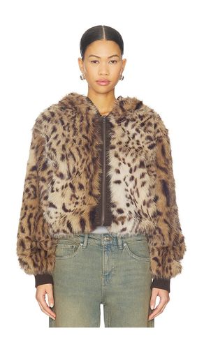 JACKE BEAR in . Größe S. Also in M - Jaded London - Modalova