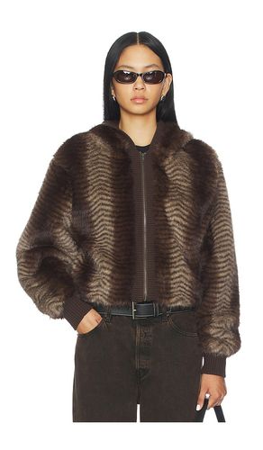 JACKE BEAR in . Größe S. Also in M - Jaded London - Modalova