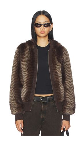 JACKE BEAR in . Größe S. Also in M - Jaded London - Modalova
