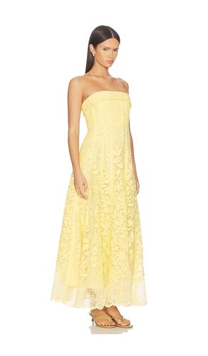 KLEID IMOGEN COTTON LACE BUSTIER MIDI in . Größe 2. Also in 4, 6 - SIMKHAI - Modalova