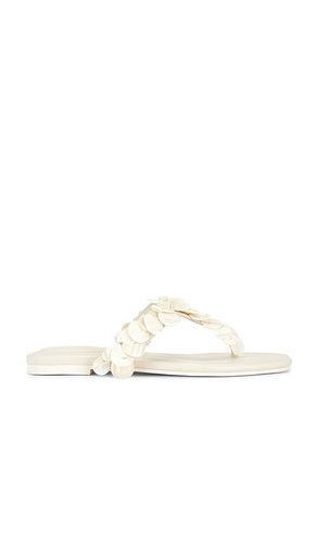 SANDALE ELIN NATURAL SHELL BEADED THONG in . Größe 38. Also in 40 - SIMKHAI - Modalova