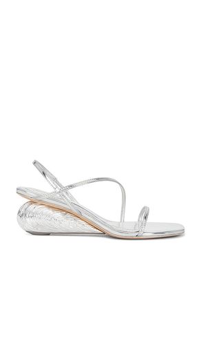 Bridget Oyster Shell Wedge Sandal in Metallic . - size 39 (also in 40) - SIMKHAI - Modalova