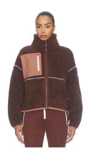Miller Jacket in Brown. - size L (also in M, S, XS) - JORDE - Modalova