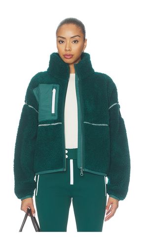 Miller Jacket in Green. - size L (also in M, S, XS) - JORDE - Modalova