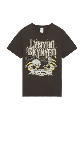 Lynyrd Skynyrd Since 1974 Tee in Brown. - size M (also in S) - Junk Food - Modalova