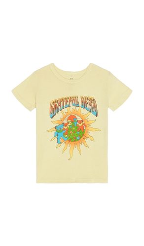 Kids Grateful Dead Sun And Bears Tee in Yellow. - size M (also in S, XS) - Junk Food - Modalova