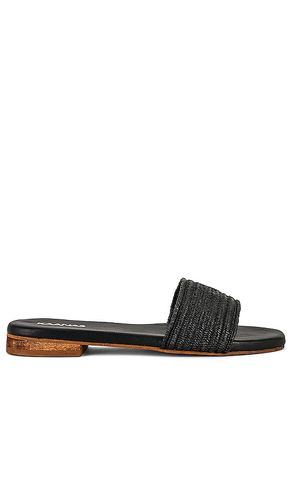 Bimini Elastic Braid Slide in . Taglia 11 - Kaanas - Modalova