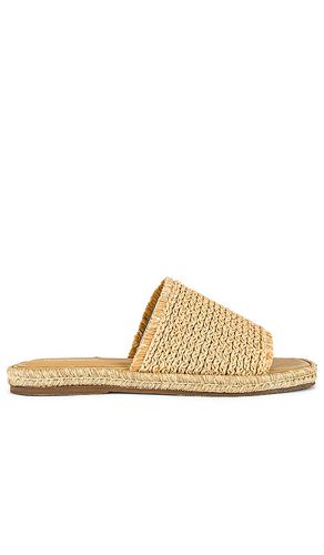 ESPADRILLES KANGAR in . Size 5, 6 - Kaanas - Modalova