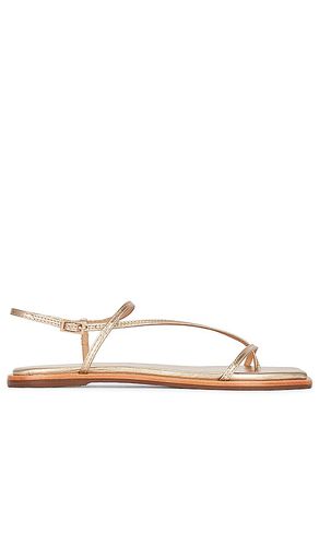 Alayta Sandal in Metallic . - size 10 (also in 11, 5, 6, 7, 8, 9) - Kaanas - Modalova