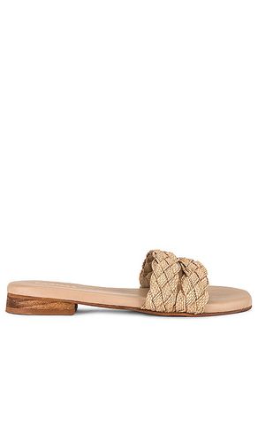 Papagayo Sandal in . Size 7 - Kaanas - Modalova