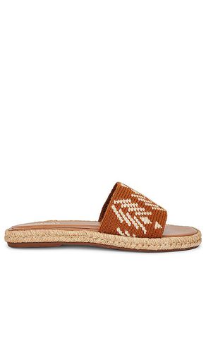 Kaanas Kai Sandal in Brown. Size 7 - Kaanas - Modalova