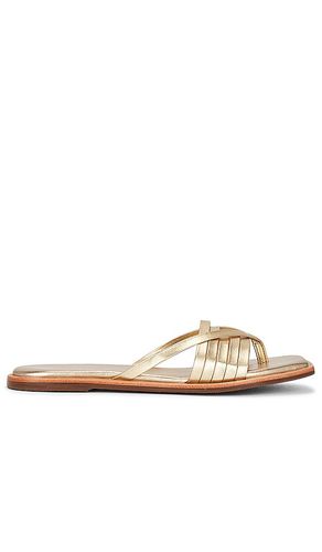 Makian Sandal in Metallic . - size 6 (also in 7, 8) - Kaanas - Modalova