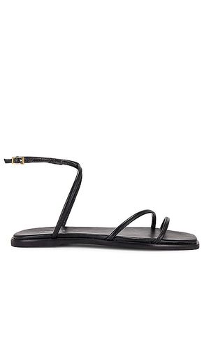 Zola Sandal in Black. - size 7 (also in 8, 9) - Kaanas - Modalova