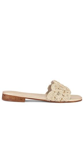 Nash Sandal in . Size 6, 7, 8, 9 - Kaanas - Modalova