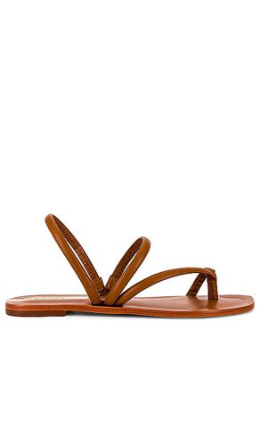 Aztec Strappy Naked Sandal in . - size 11 (also in 5, 7, 8, 9) - Kaanas - Modalova