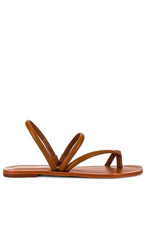 Aztec Strappy Naked Sandal in . Taglia 9 - Kaanas - Modalova