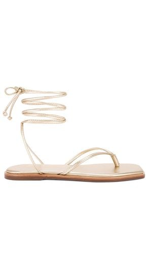 Samoa Sandal in Metallic . - size 11 (also in 5) - Kaanas - Modalova