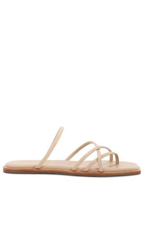 Kapok Slide Sandal in . - size 10 (also in 11, 5, 6, 7) - Kaanas - Modalova