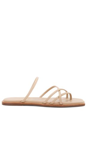 Kapok Slide Sandal in . Size 11, 5, 6, 7, 9 - Kaanas - Modalova