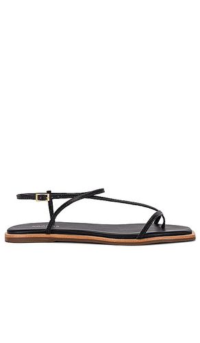 Alayta Square-toe Strappy Sandal in . Taglia 11, 5, 6, 7, 8, 9 - Kaanas - Modalova