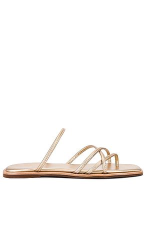 Kapok Square-toe Strappy Slide in Metallic . - size 10 (also in 11, 5, 6, 7, 9) - Kaanas - Modalova