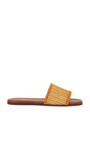 Azurita Slide in Brown. - size 11 (also in 5) - Kaanas - Modalova
