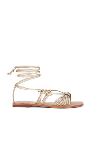 Coba Sandal in Metallic . - size 10 (also in 11, 5, 6, 7, 8, 9) - Kaanas - Modalova