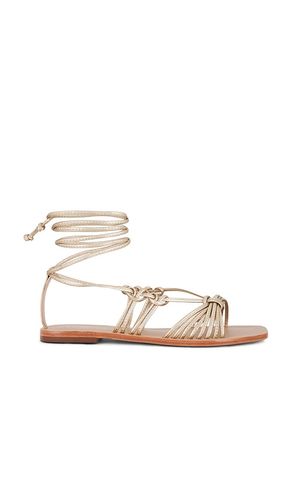 Coba Sandal in . Size 5 - Kaanas - Modalova