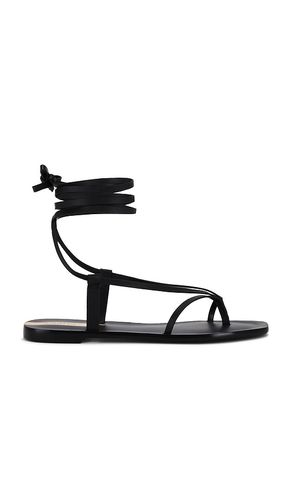 Paloma Sandal in Black. - size 11 (also in 5, 6, 7) - Kaanas - Modalova