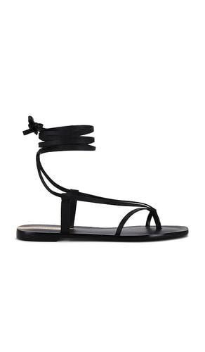 Paloma Sandal in . Taglia 5 - Kaanas - Modalova