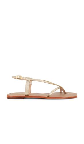 Cristobal Sandal in Metallic . - size 10 (also in 11, 5, 6, 7, 8, 9) - Kaanas - Modalova