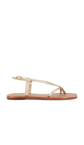 Cristobal Sandal in Metallic . - size 10 (also in 11, 5, 6, 9) - Kaanas - Modalova