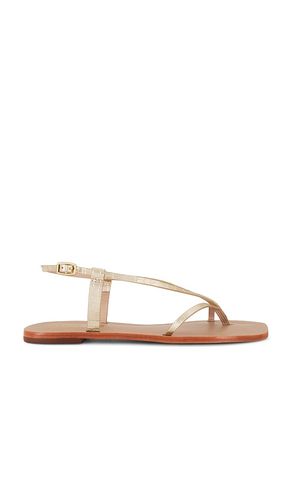 Cristobal Sandal in . Size 11, 5, 6 - Kaanas - Modalova