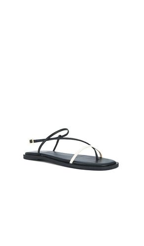 SANDALEN MIT ECKIGER ZEHENPARTIE ALAYTA in . Größe 6. Also in 8, 9 - Kaanas - Modalova