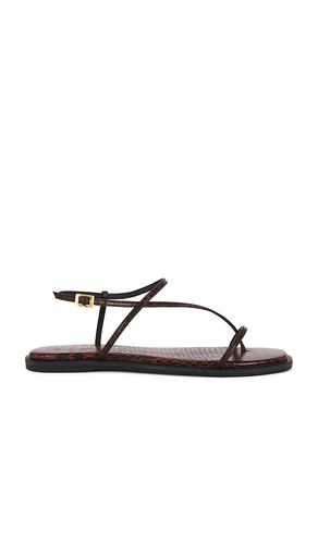 Alayta Square Toe Sandal in Brown. - size 11 (also in 7, 8, 9) - Kaanas - Modalova