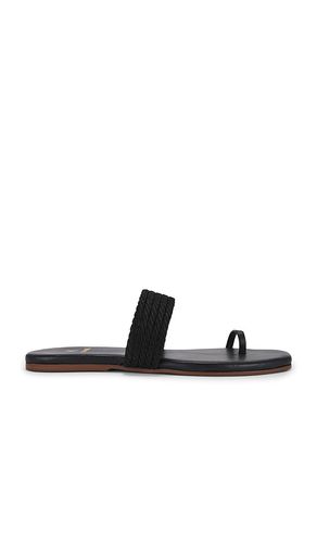 Banderas Sandal in . - size 10 (also in 11, 5, 6, 7, 8, 9) - Kaanas - Modalova