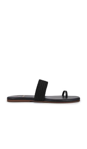 Banderas Sandal in . - size 10 (also in 11, 5) - Kaanas - Modalova
