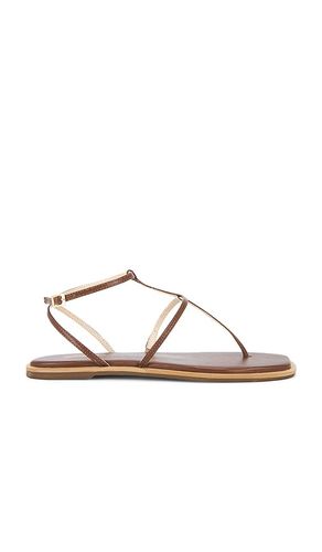 Aisha Strappy Gladiator Sandal in . - size 10 (also in 11, 7, 8, 9) - Kaanas - Modalova