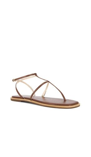 Aisha Strappy Gladiator Sandal in . Taglia 7. Also in 8, 9 - Kaanas - Modalova