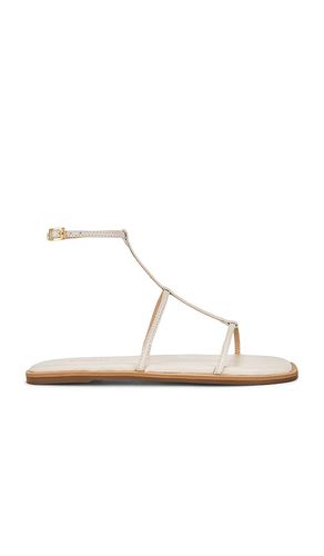 Nerea Strappy Gladiator Sandal in . - size 10 (also in 11, 7, 8, 9) - Kaanas - Modalova