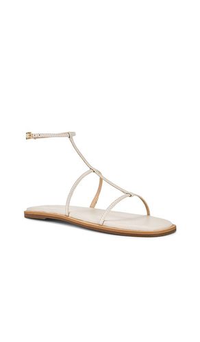 Nerea Strappy Gladiator Sandal in . Size 11. Also in 7 - Kaanas - Modalova