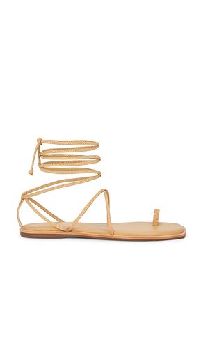 Lavi Strappy Toe Ring Sandal in Neutral. - size 10 (also in 6, 7, 8, 9) - Kaanas - Modalova