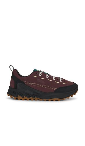 Jasper Zionic in Brown. - size 10 (also in 10.5, 11, 12, 13, 8, 8.5, 9, 9.5) - KEEN - Modalova